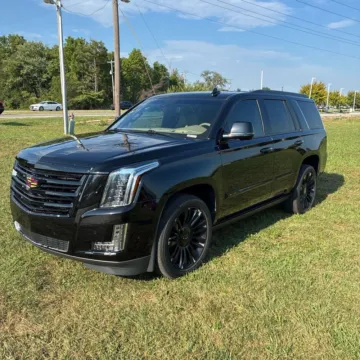 Photos of 2020 Cadillac Escalade Platinum Edition for sale in Westfield, IN at Indy Auto Man - Westfield