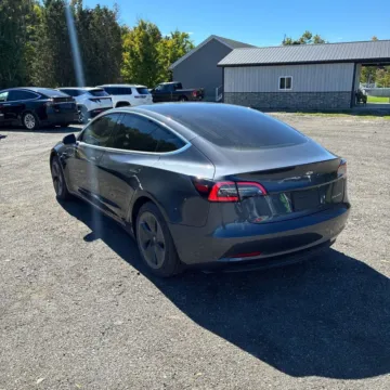 More photos of 2019 Tesla Model 3 Long Range at Indy Auto Man - Westfield, IN