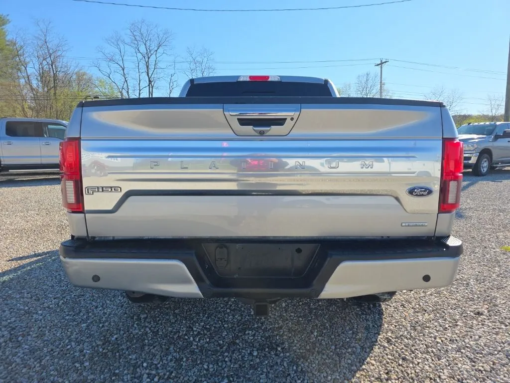 2020 Ford F-150 Platinum - Photo 6