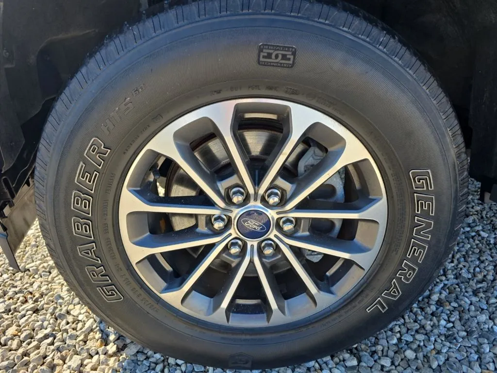 2020 Ford F-150 Platinum - Photo 9