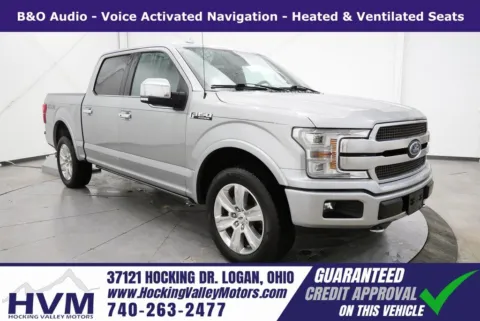 Silver 2020 Ford F-150 Platinum for sale in Logan, OH