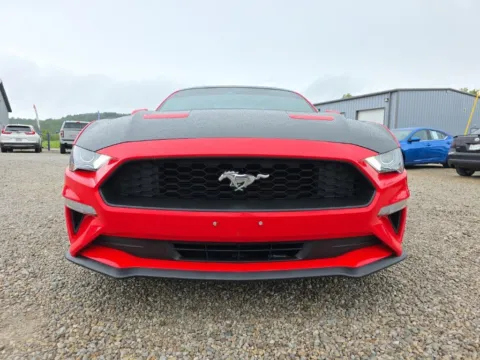 Photos of 2021 Ford Mustang for sale in Logan, OH at Hocking Valley Motors