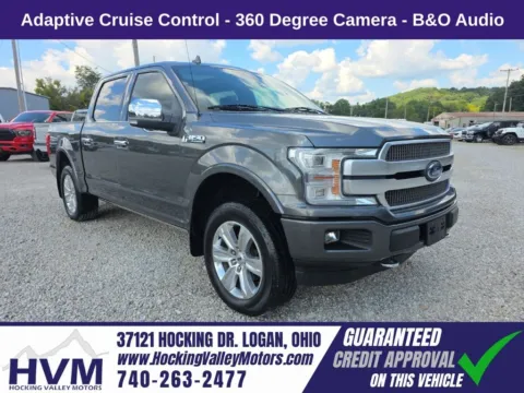 Gray 2019 Ford F-150 Platinum for sale in Logan, OH