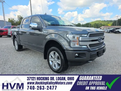 Gray 2019 Ford F-150 Platinum for sale in Logan, OH