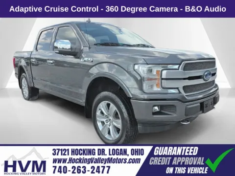 Gray 2019 Ford F-150 Platinum for sale in Logan, OH