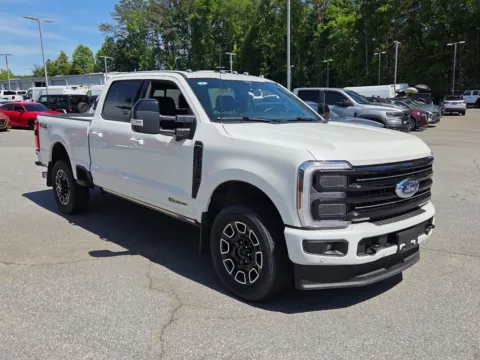 Gray 2025 Ford F-250SD Platinum for sale in Macon, GA