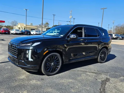 Another view of 2025 Hyundai Palisade Calligraphy Night Edition for sale in Warner Robins, GA at Hyundai Warner Robins
