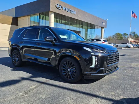 Black 2025 Hyundai Palisade Calligraphy Night Edition for sale in Warner Robins, GA