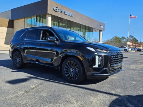 Black 2025 Hyundai Palisade Calligraphy Night Edition for sale in Warner Robins, GA
