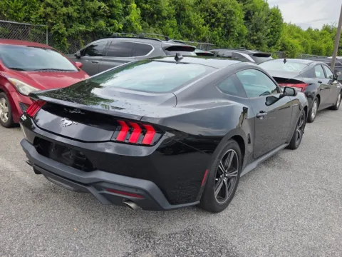 More photos of 2024 Ford Mustang EcoBoost at Hyundai Warner Robins, GA