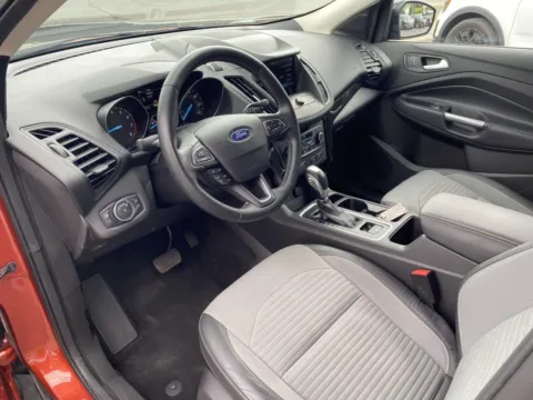 More photos of 2019 Ford Escape SE at Fazio's Auto Sales, NY