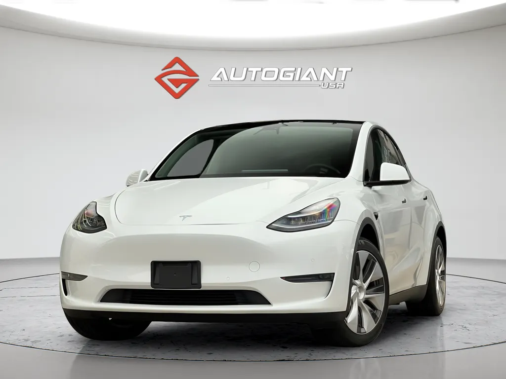 2021 Tesla Model Y Long Range for sale in Indianapolis, IN