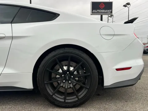More photos of 2017 Ford Mustang Shelby GT350 at AutoGiant USA Indianapolis, IN