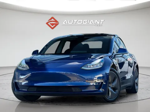 Blue 2019 Tesla Model 3 Long Range for sale in Indianapolis, IN