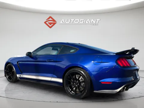 More photos of 2016 Ford Mustang Shelby GT350 at AutoGiant USA Indianapolis, IN