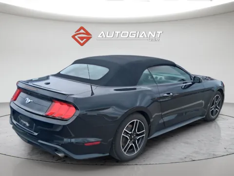More photos of 2022 Ford Mustang EcoBoost Premium at AutoGiant USA Indianapolis, IN