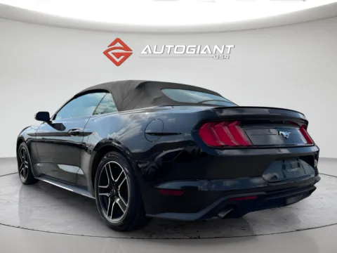More photos of 2022 Ford Mustang EcoBoost Premium at AutoGiant USA Indianapolis, IN