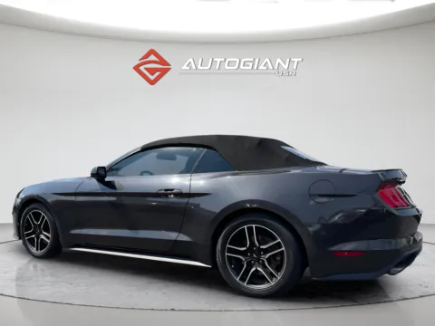 More photos of 2022 Ford Mustang EcoBoost Premium at AutoGiant USA Indianapolis, IN