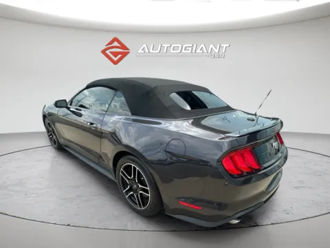 More photos of 2022 Ford Mustang EcoBoost Premium at AutoGiant USA Indianapolis, IN