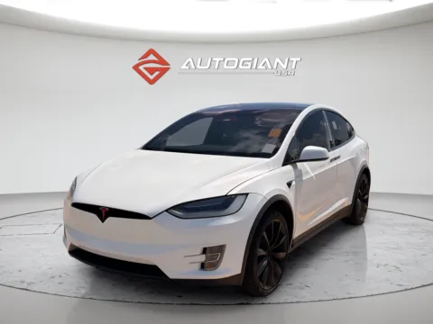 White 2019 Tesla Model X Performance for sale in Indianapolis, IN