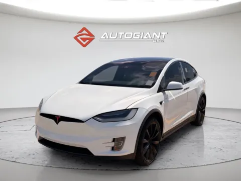 White 2019 Tesla Model X Performance for sale in Indianapolis, IN