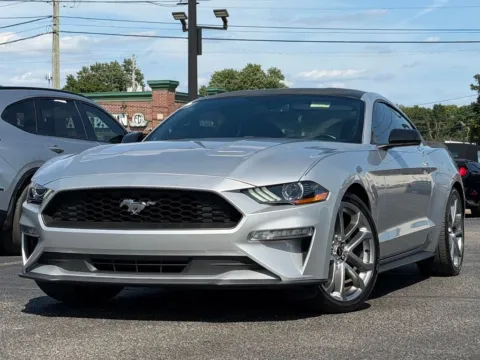 Silver 2019 Ford Mustang EcoBoost for sale in Indianapolis, IN