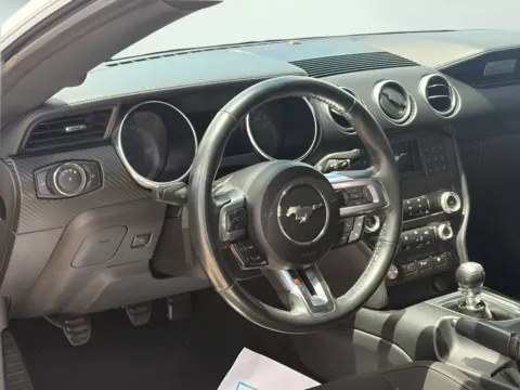 Silver 2019 Ford Mustang EcoBoost for sale in Indianapolis, IN