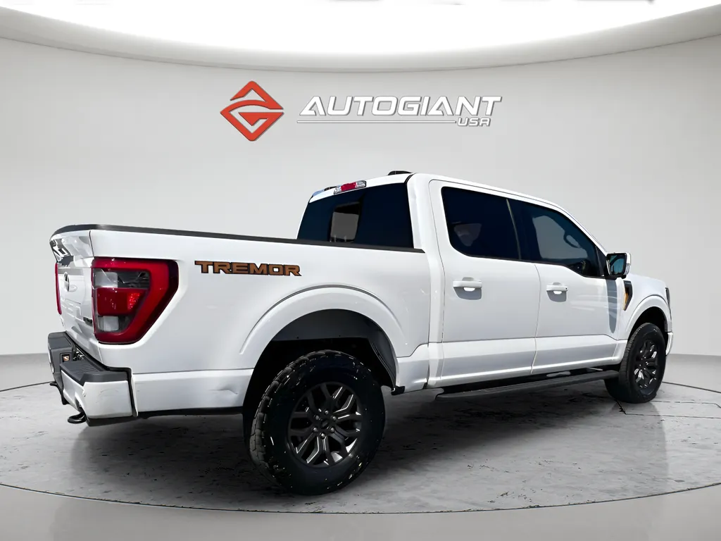 2023 Ford F-150 Tremor - Photo 8