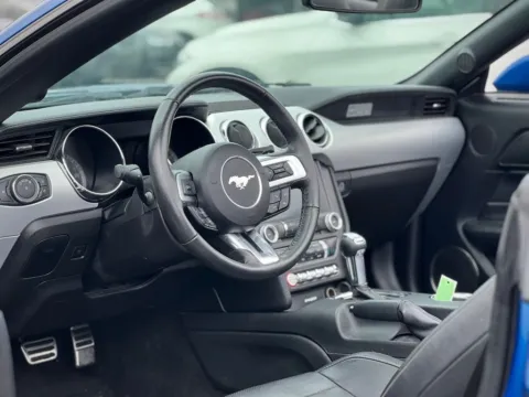 Photos of 2017 Ford Mustang GT Premium for sale in Indianapolis, IN at AutoGiant USA Indianapolis