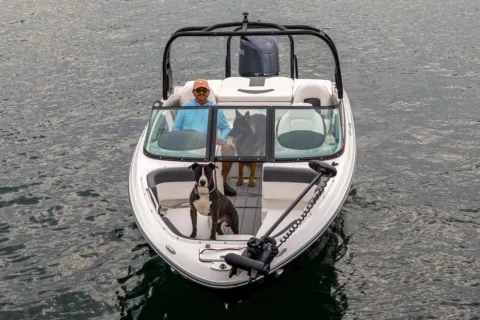 Photos of 2026 Chaparral 21 SSi Ski & Fish OB for sale in Bluffton, SC at Longshore Boats Bluffton