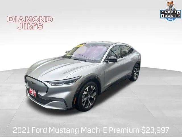 Silver 2021 Ford Mustang Mach-E Premium for sale in Milwaukee, WI
