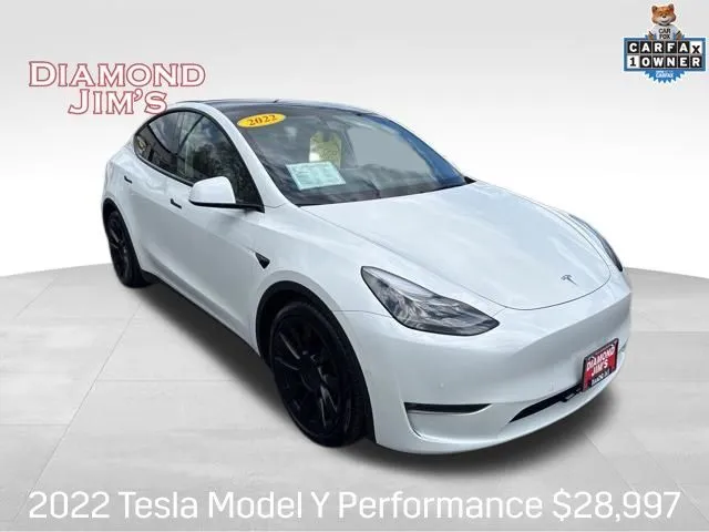 2022 Tesla Model Y Performance for sale in Milwaukee, WI
