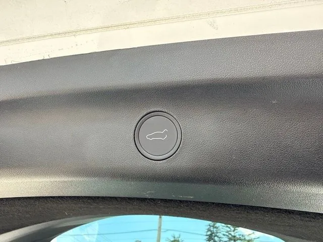Tesla Model Y photo 16