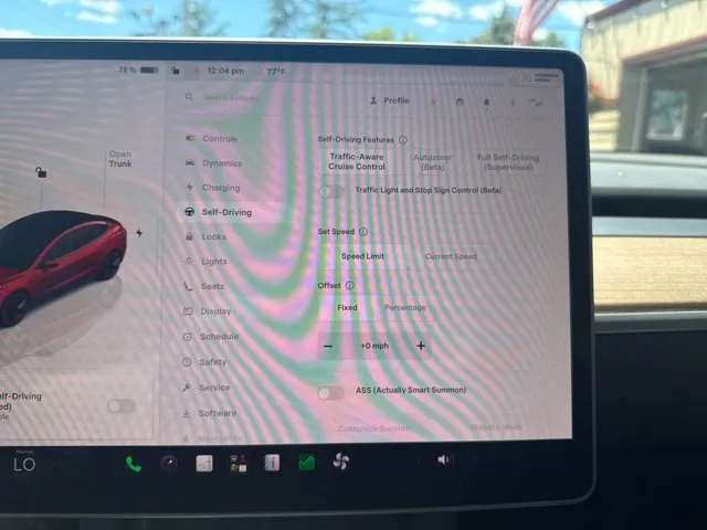 Tesla Model 3 photo 29