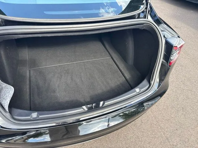 Tesla Model 3 photo 16