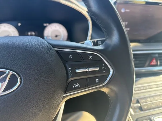 Hyundai Santa Fe photo 29