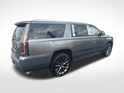 Another view of 2020 Cadillac Escalade ESV Premium for sale in Milwaukee, WI at Diamond Jim's Motor Cars