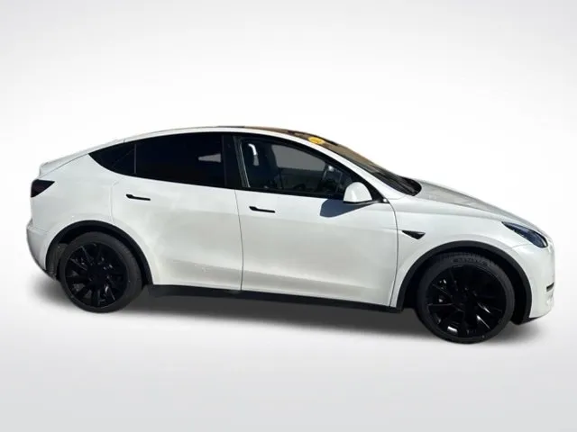 Tesla Model Y photo 2