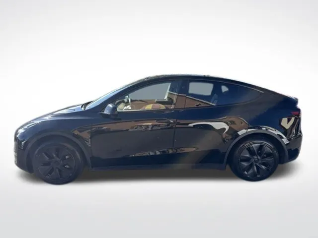 Tesla Model Y photo 6