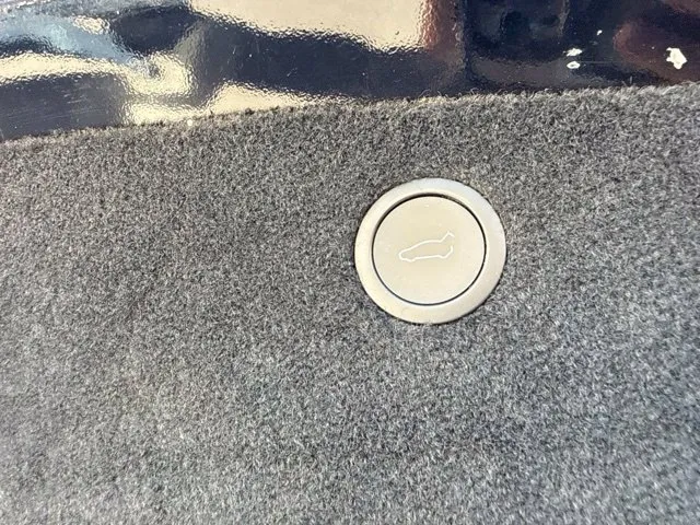 Tesla Model X photo 18
