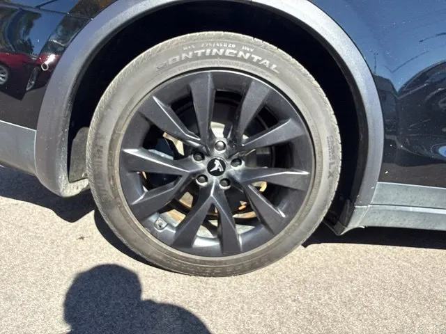 Tesla Model X photo 19
