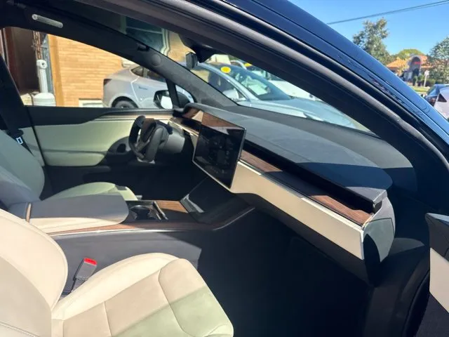 Tesla Model X photo 22