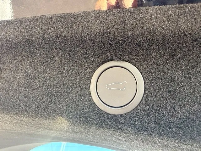 Tesla Model Y photo 18