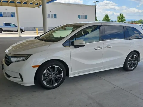 White 2024 Honda Odyssey Elite for sale in Alcoa, TN