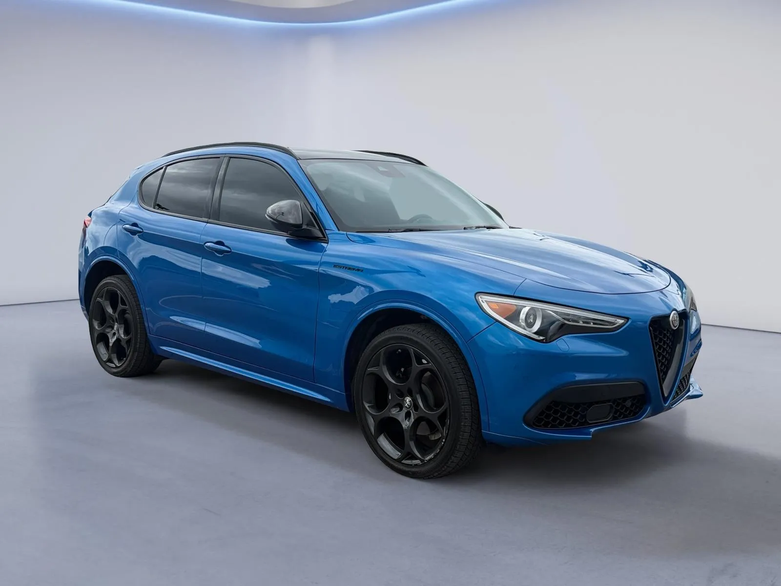 Blue 2023 ALFA ROMEO STELVI for sale in Alcoa, TN
