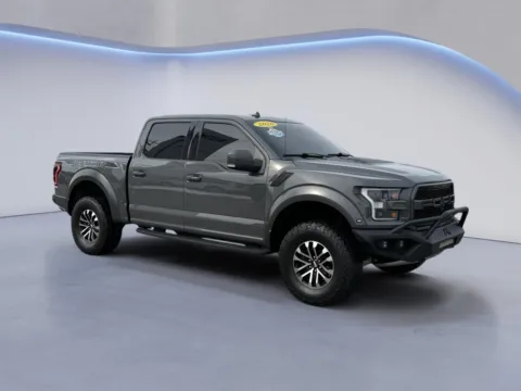 Gray 2020 Ford F-150 Raptor for sale in Knoxville, TN