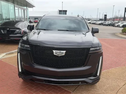 Gray 2023 Cadillac Escalade 4WD Sport Platinum for sale in Knoxville, TN