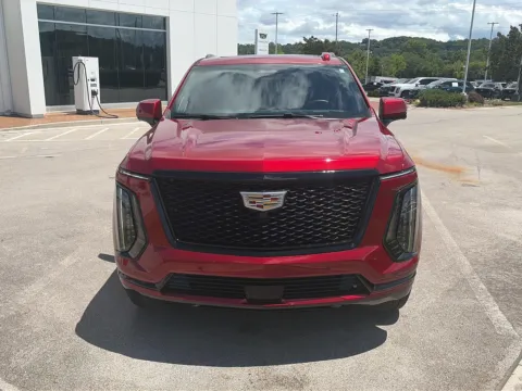 Red 2025 Cadillac Escalade 4WD Sport Platinum for sale in Knoxville, TN