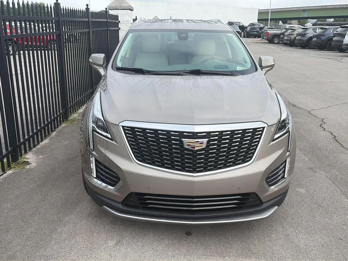 Brown 2023 Cadillac XT5 AWD Premium Luxury for sale in Knoxville, TN