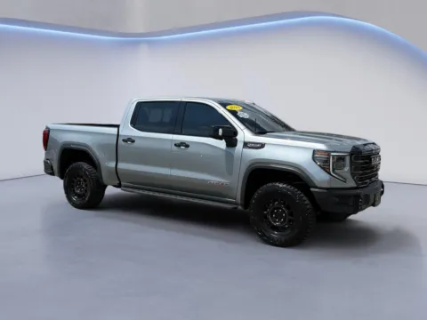 Gray 2024 GMC Sierra 1500 AT4X for sale in Knoxville, TN